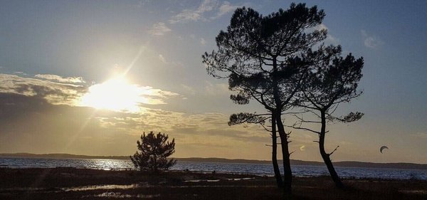 Les meilleurs campings à Biscarrosse pour des vacances divertissantes