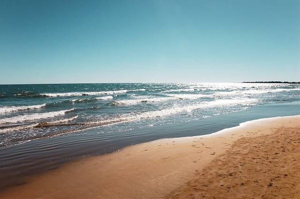 Les Meilleurs Spots de Camping en Bord de Plage dans les Landes : Votre Guide Ultime