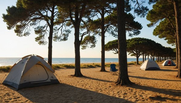 Camping gironde bord de mer : découvrez le camping des pins