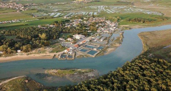 Découvrez la nature unique de la région de Talmont Saint Hilaire lors de votre séjour en camping