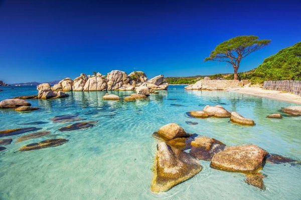 Le guide ultime du camping en Corse, France