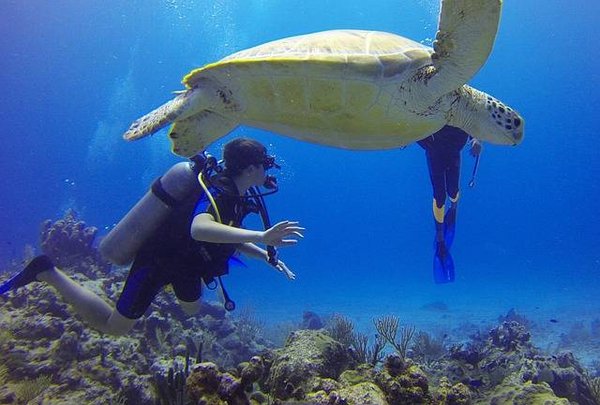 Où peut-on faire du paddle en camping en bord de mer ?