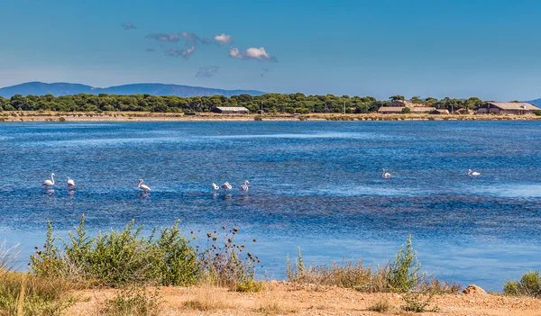 Explorer les meilleures locations en bord de mer sur la Presqu'ile de Giens