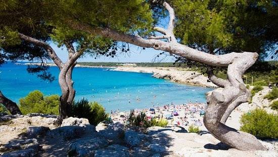 Vacances à la mer : séjournez dans notre camping en Bretagne en bord de mer "Camping du Letty"